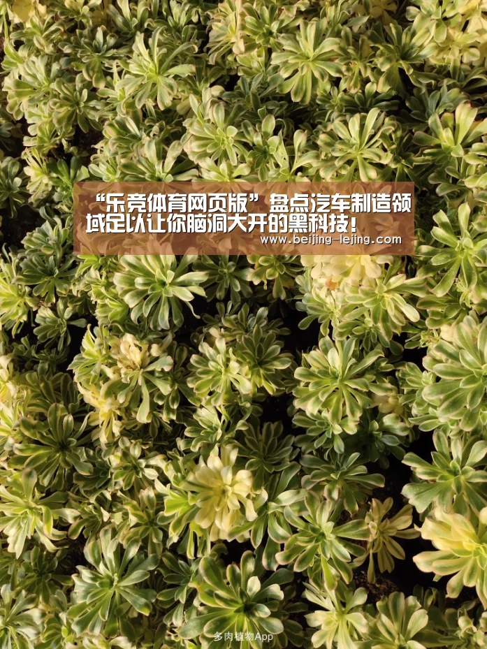 “乐竞体育网页版”盘点汽车制造领域足以让你脑洞大开的黑科技!(图4) 乐竞体育官方